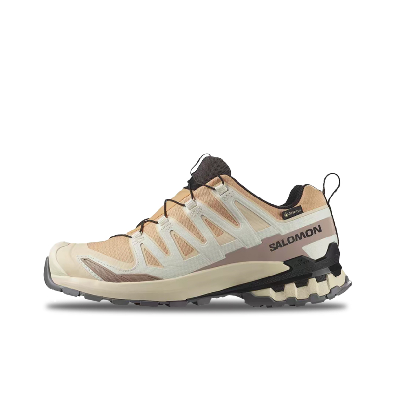 ซาโลลอน เอ็กซ์เอ โปร 3 ดี วี9  - Salomon Shoes Xa Pro 3D บทวิจารณ์และราคา