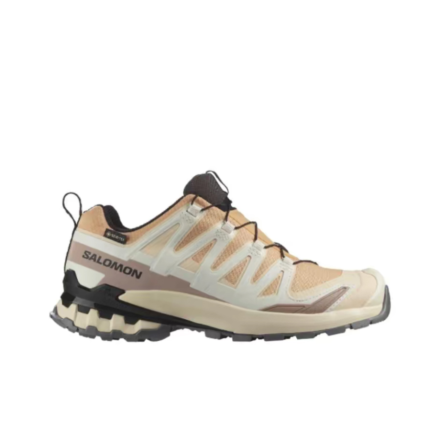 ซาโลลอน เอ็กซ์เอ โปร 3 ดี วี9  - Salomon Shoes Xa Pro 3D บทวิจารณ์และราคา